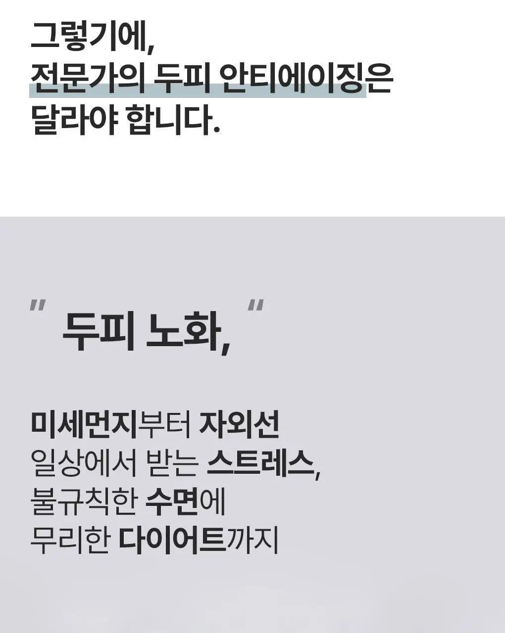 [두피뿌리볼륨]라우쉬 윌로우바크 트리트먼트 샴푸200ml&컨디셔너150ml 기획 상세페이지 5